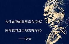 我爱这土地朗诵视频董卿