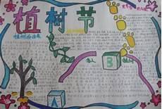 青山绿水手抄报内容怎么写