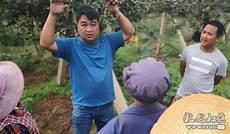 肖培东执教昆明的雨